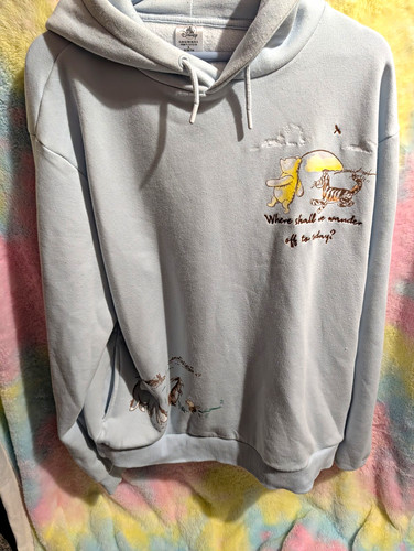 Disney winnie the pooh - winnie,